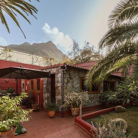 Papaya Cottage Punta Del Hidalgo Exteriér fotografie