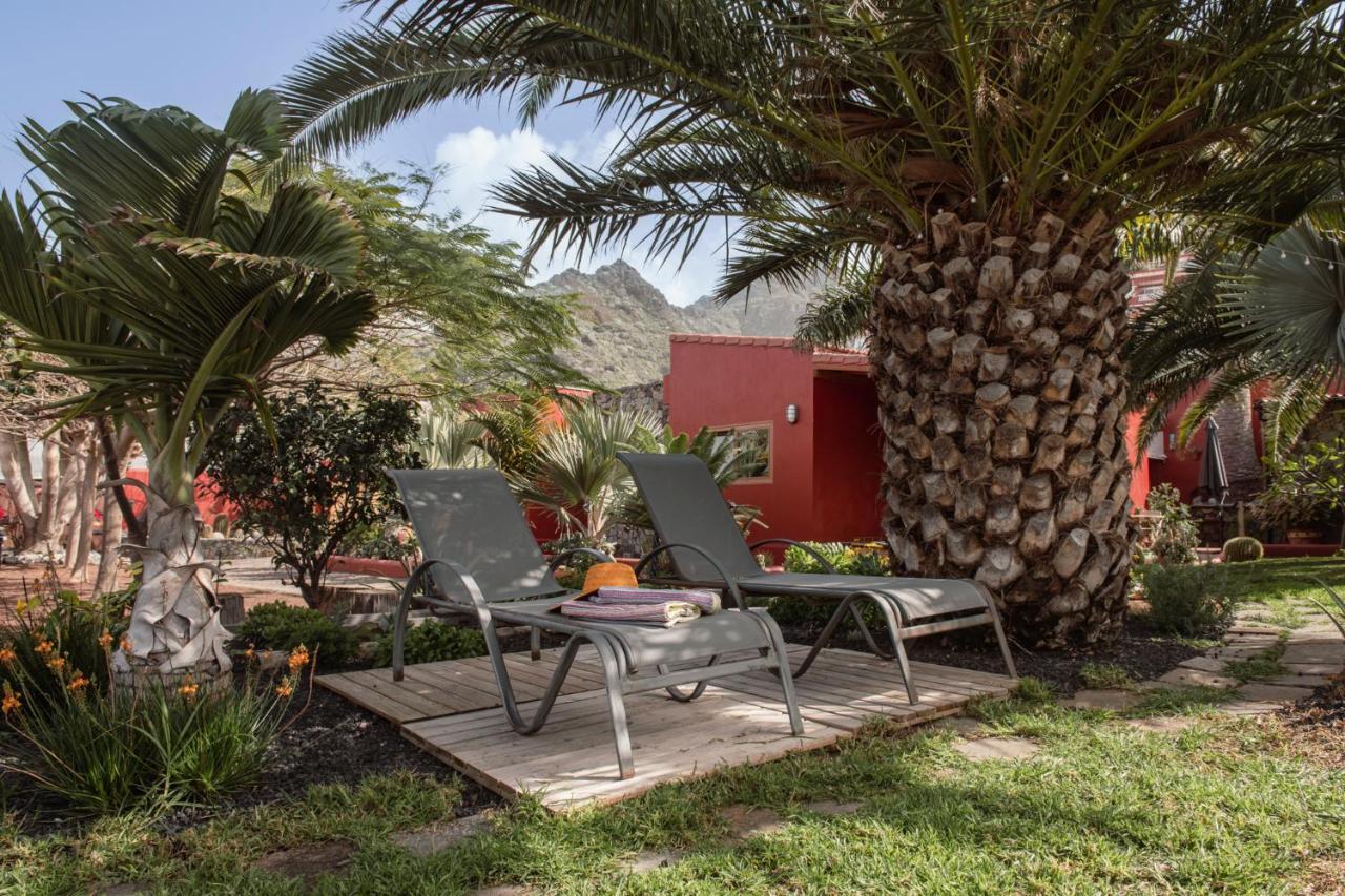 Papaya Cottage Punta Del Hidalgo Exteriér fotografie