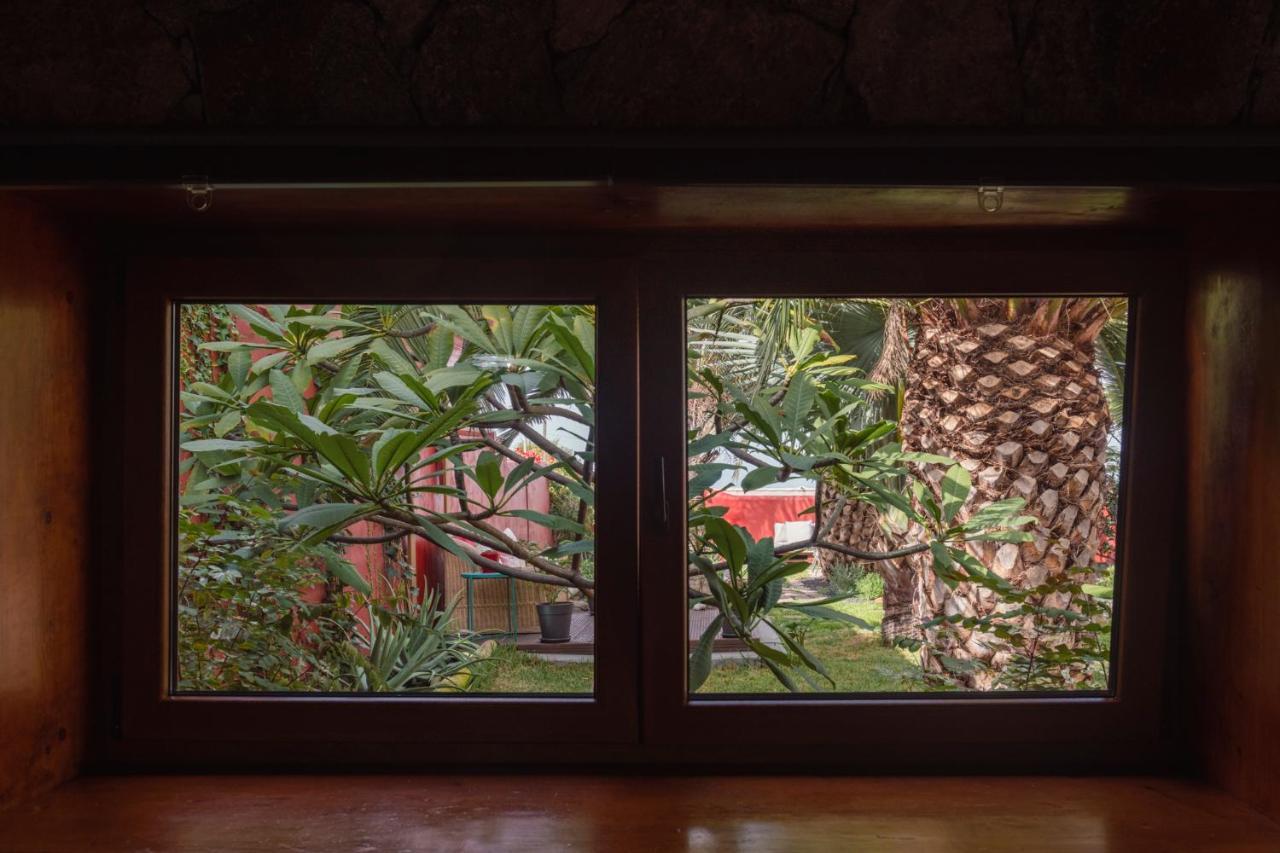 Papaya Cottage Punta Del Hidalgo Exteriér fotografie
